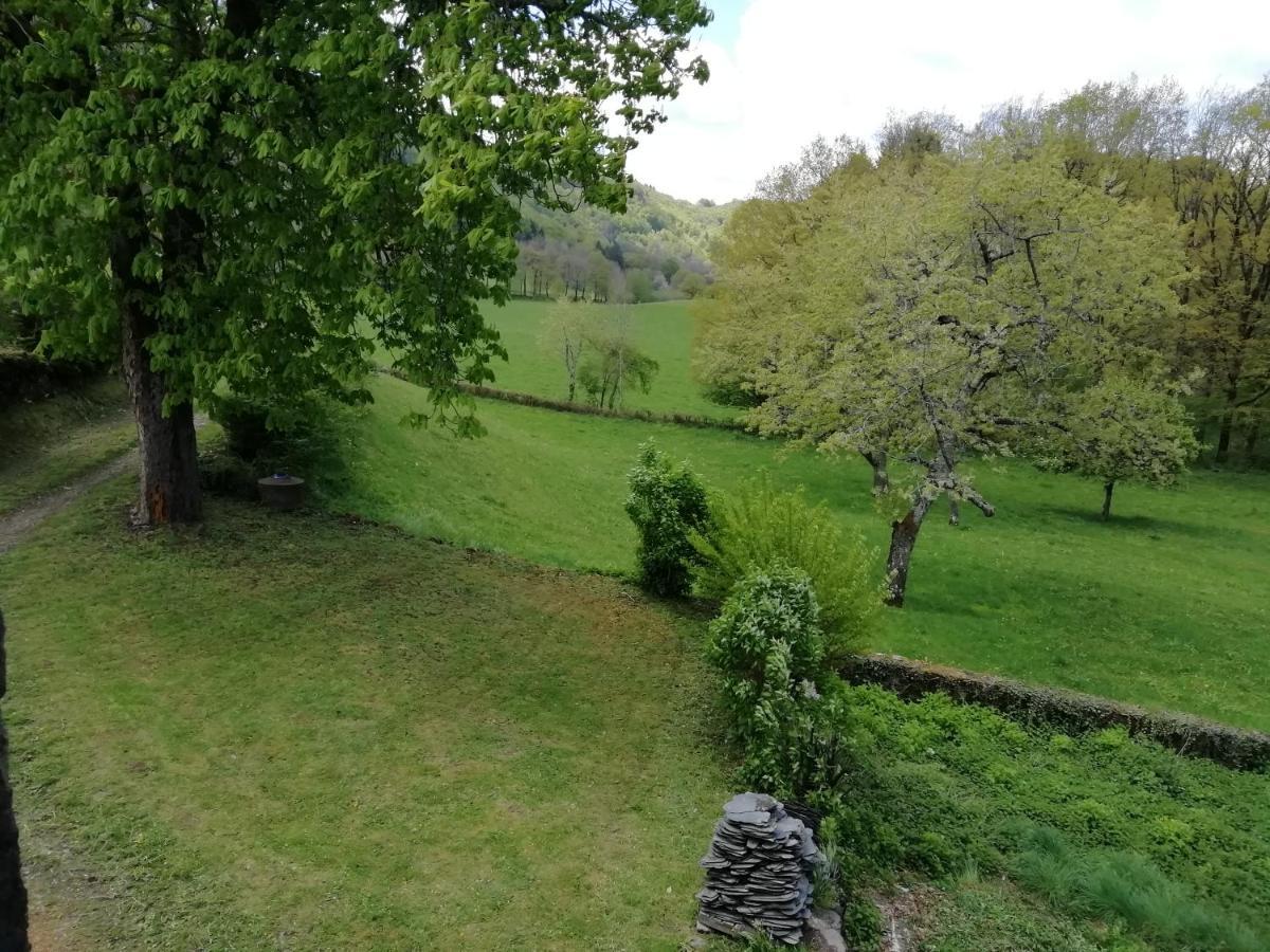 Maison A La Campagne Au Coeur Du Cantal Dept 15 Marmanhac エクステリア 写真