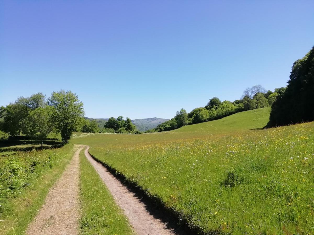Maison A La Campagne Au Coeur Du Cantal Dept 15 Marmanhac エクステリア 写真